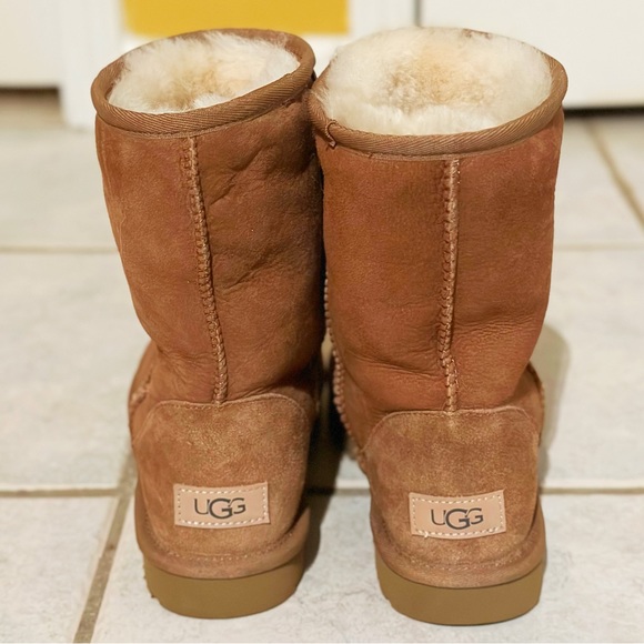 UGG Classic Short Boots - Chestnut - Picture 3 of 5